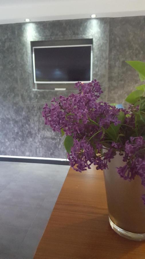 לינה וארוחת בוקר רסטובקה House Biba & Leona מראה חיצוני תמונה